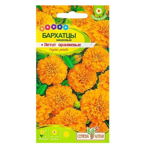 ���� ������ ������ �������� 