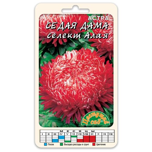 ���� ����� ����� ����� ���� ������ ���� (������ �������� ��� 0,1 �) ������ ������