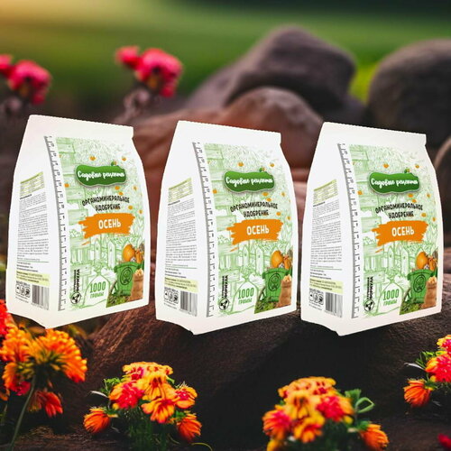 ���� ������� 1�� / 3��. ����������������� ���������. ������� �������. ������ ������