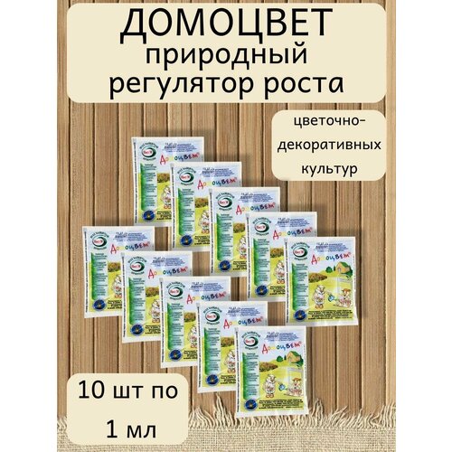 ���� ��������� ��������� ����� �������� ���. 1 ��, 10 ����� ������ ������