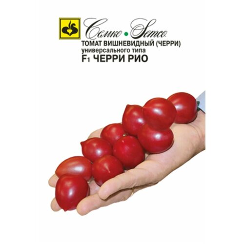 ���� ������ ����� ����� ��� F1 10�� ����� ������ (�����) ������ ������