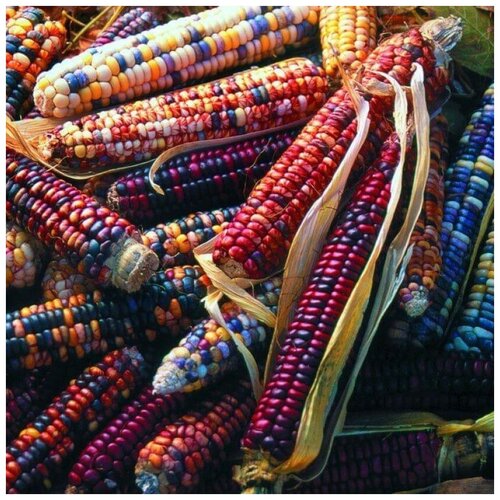 ���� ������ ������ �������� ������� ������� 10 ��. ������ ������