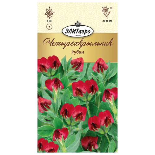 ���� ��������������� ����� (0,25 �), 2 ������ ������ ������