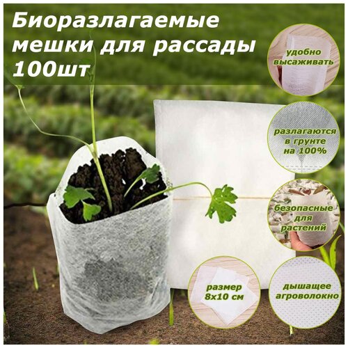 ���� �������������� ����� ��� ������� 100�� ������ ������