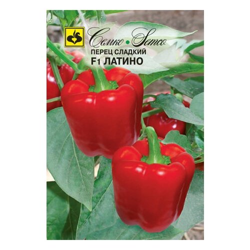 ���� ����� ������ F1 ������ ������