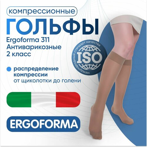     Ergoforma 311, 1 ,  3,    -     , -, 