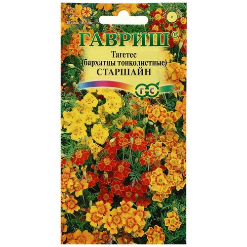 ���� ������ ������ ������ �������� 