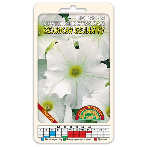 ���� ������ �������� ��� 