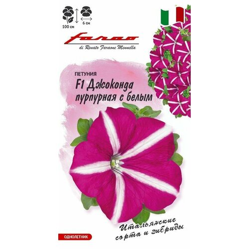 ���� ������ ������� �������� F1 ��������� � ����� (��������) ��������� 7�� (������) ����� ������ ������