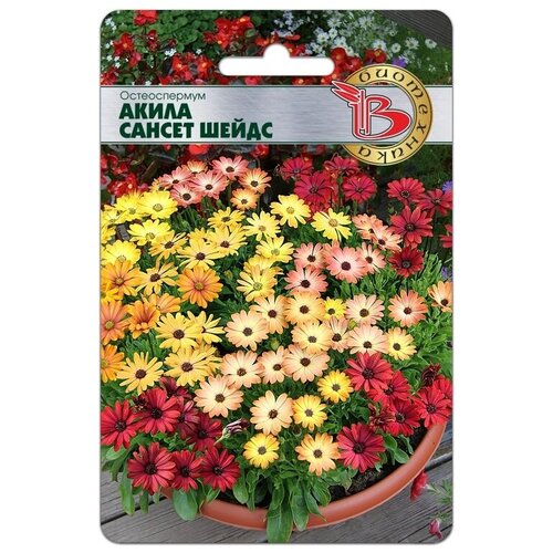 ���� ������������ 