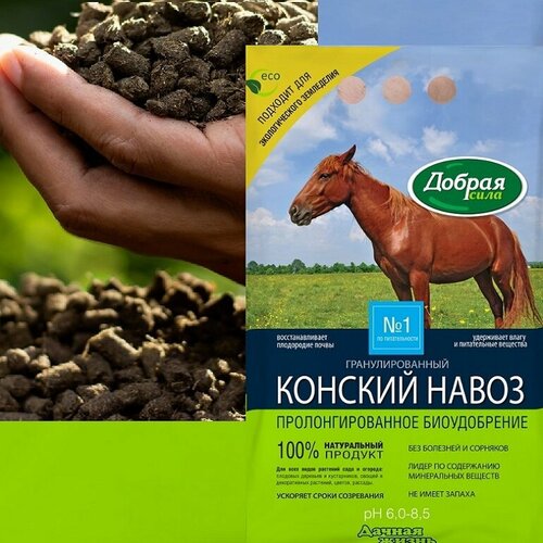 ���� ��������� ������ ���� ������� �����, 2 �, 2000 �, 1 ��. ������ ������