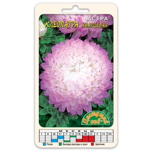 ���� ����� ����� ��������� ��������� (������ �������� ��� 0,2 �) ������ ������