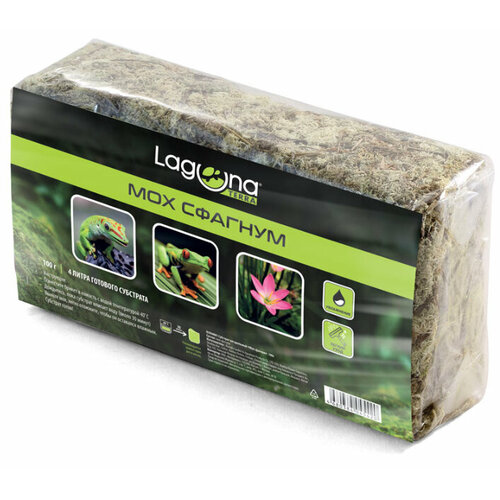 ���� �������� Laguna ��� �������, 100 � ������ ������