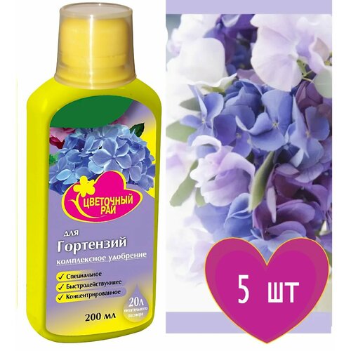 ���� ��������� ��� ��������� 