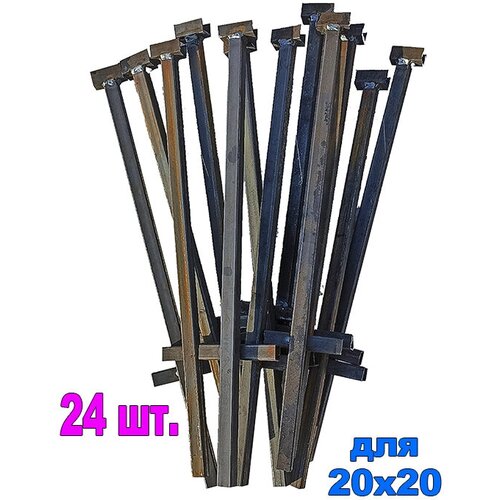 ���� ���� ��� ������� 10 ������ (24 ��) ������ ������