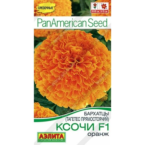 ���� �������� ����� F1 ����� ������ ������