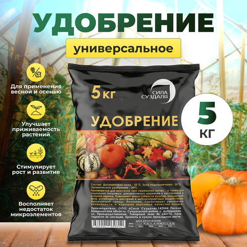 ���� ��������� ������� ������������� 5 �� ���� �������, ��� ��������, ������������ �������� � ����������� ������ ������