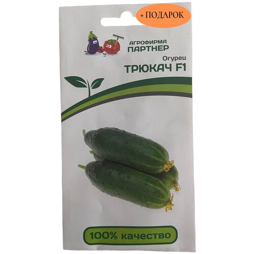 ���� ������ ������ ������ F1 (5��) ������ ������