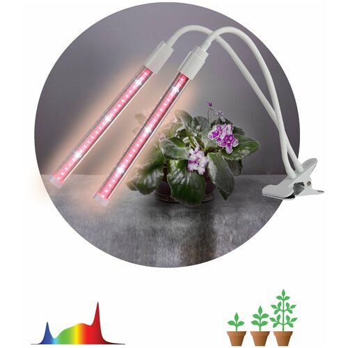 ���� ���������� ��� �������� �� �������� ��� FITO-20W-�LED-L ������� ������� 12 �� �����, 1�� ������ ������