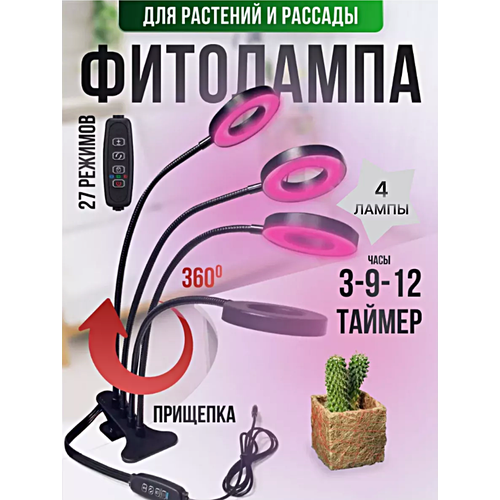 ���� ��������� ��������� ��� �������� � �������, ���������������� ����� �� �������� ��� �������� ����, ����, 4 ����� ������ ������