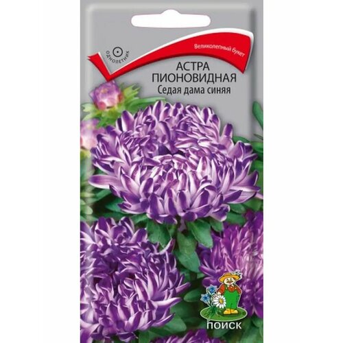 ���� ����� ����������� 