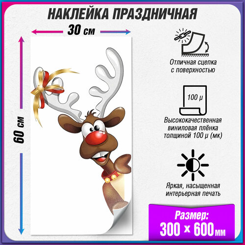 ���� ����������� �������� �� ���� � ������ / ��������� �� ���� � ������ ���� / 30x60 ��. ������ ������