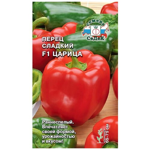 ���� ����� ������� F1 ������ ������ ������