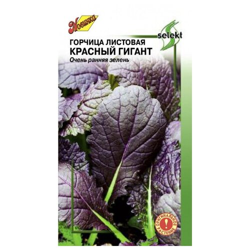 ���� ������� �������� ������� ������, 200 ����� ������ ������