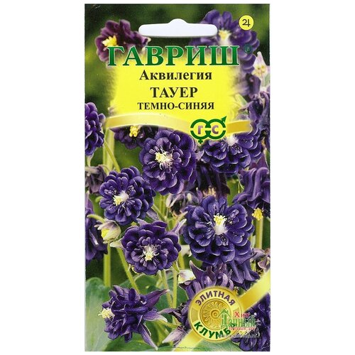 ���� ������, ��������� ����� �����-�����, ������������, ����� ������� ������ 10 ����� ������ ������