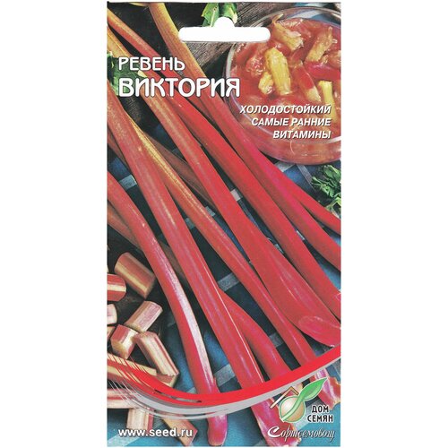 ���� ������ ��������, 15 ����� ������ ������