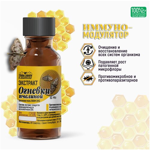 ���� ������� �������� ������ ������