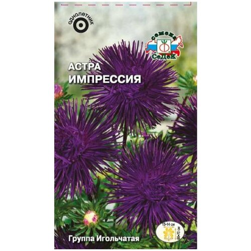 ���� ������ ����� ��������� ������ ������