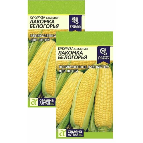 ���� ������ ������ ����� �������� ������� ���������, 5 �, 2 ��. ������ ������