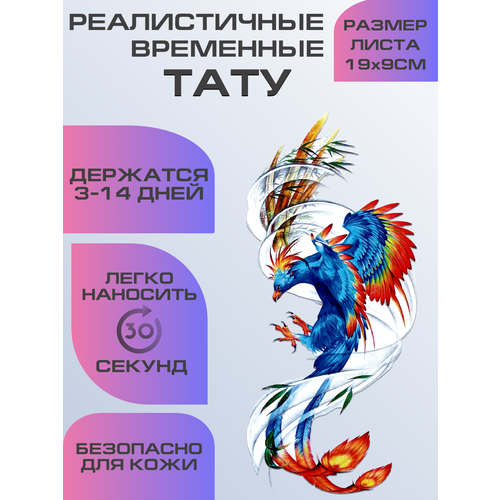 ���� ���� ���������� ��������������, ��������� ���� ������ ������