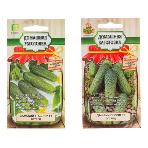 ���� ����� ����� ������� ����� 