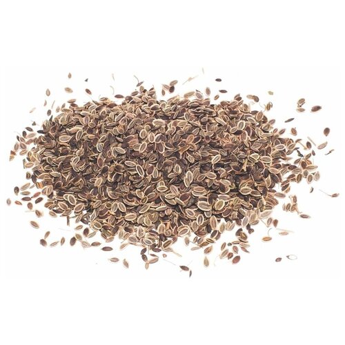 ���� ������ ������ ������� 1 �� ������ ������