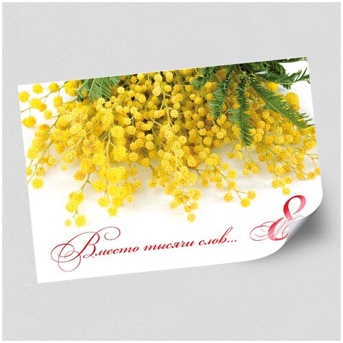 ���� ����������/������ �������������� �� 8 �����, ������ �-0 (119x84 ��.) ������ ������