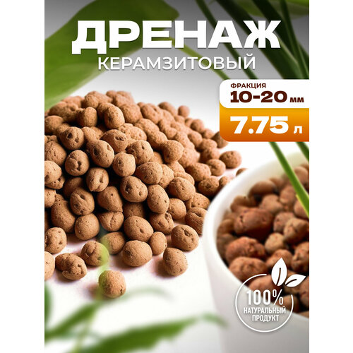 ���� ������ �������, �������� ��� ������ � �������� 7,75 � InHome Green ������ ������