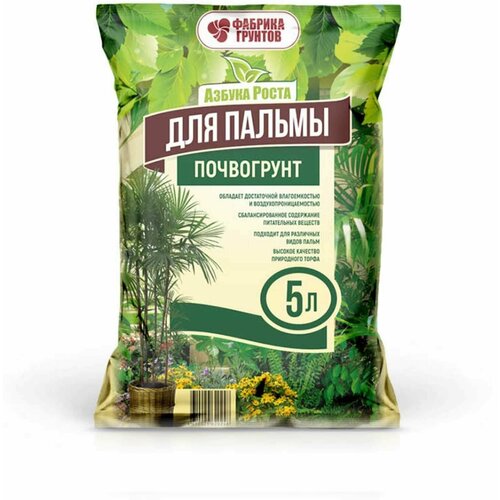 ���� ���������� 5� 