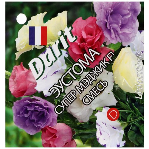 ���� ������ Darit ������� ����� ������ ����� F1 ������ ������