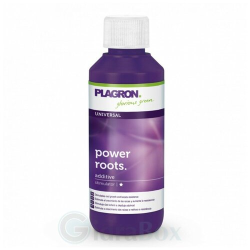    Plagron Power Roots 100      -     , -, 