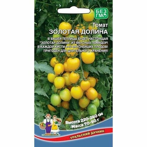 ���� ������ ����� ������� ������, ������������, ������������, 20�� ������ ������