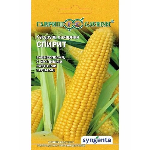 ���� ������ �������� 