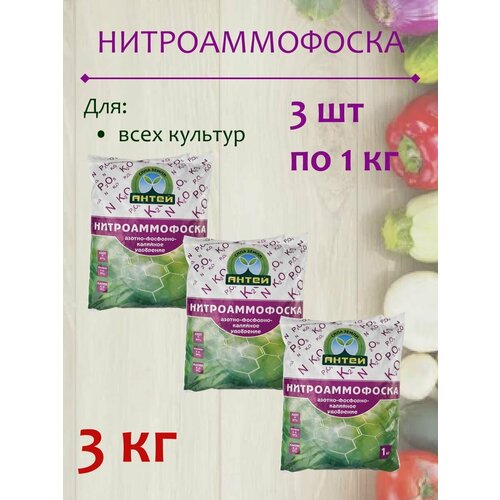 ���� ��������� ��������������, 3 �� ������ ������