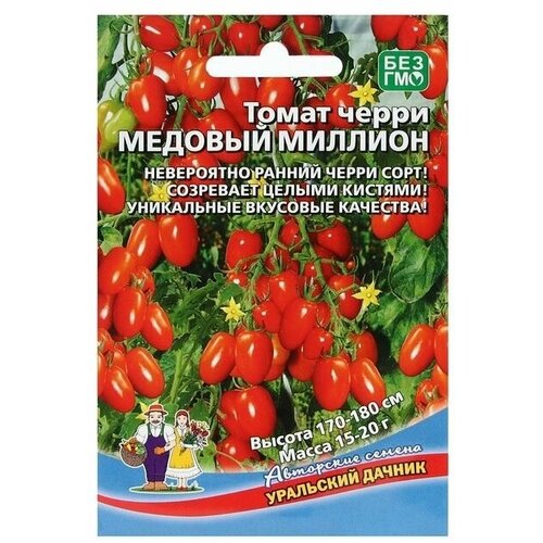 ���� ������ ����� 