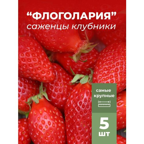 ���� �������� ����� ������������� ���������� (����������), �������/��������� �������� 5 �� ������ ������