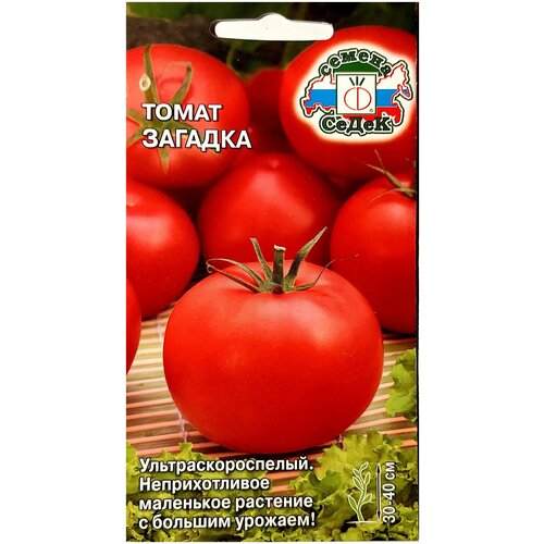 ���� ����� ������� ������ ������