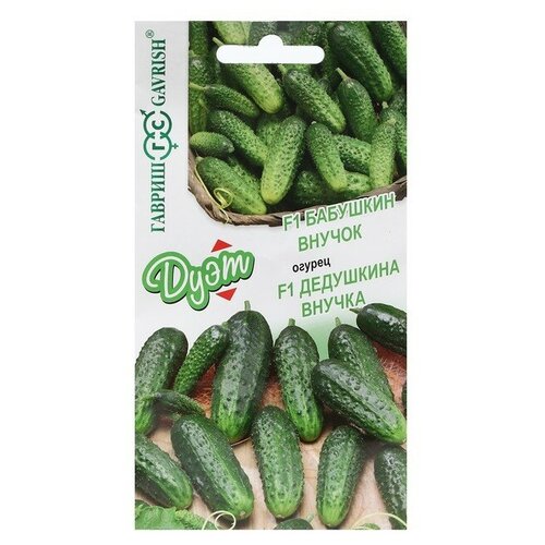 ���� ������ ������ 