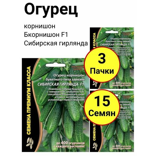 ���� ������ ������ 