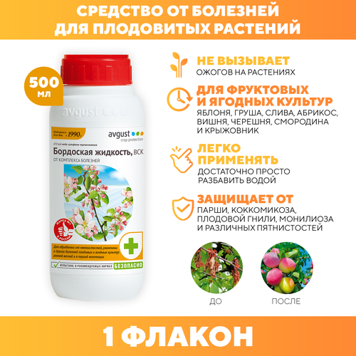 ���� ��������� �������� ��� ������� �������� �� ��������, Avgust 500 �� 1 �� ������ ������